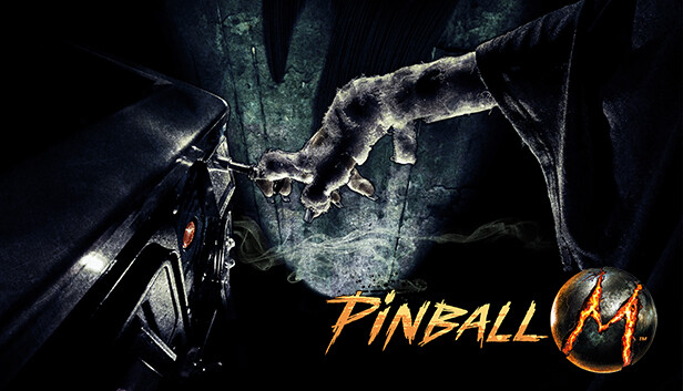 Pinball M Cover